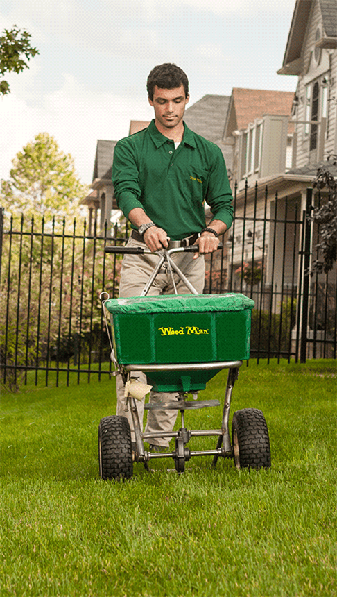 Lawn Care Services In Kirkland Weed Man